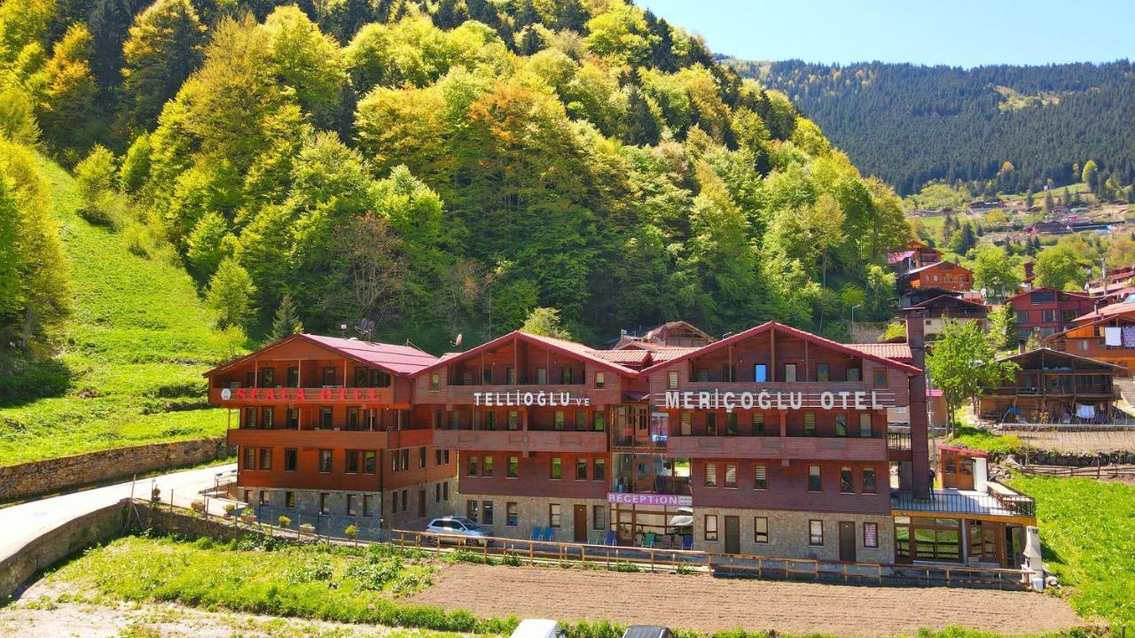 Tellioglu & Mericoglu Suite Uzungöl Eksteriør billede