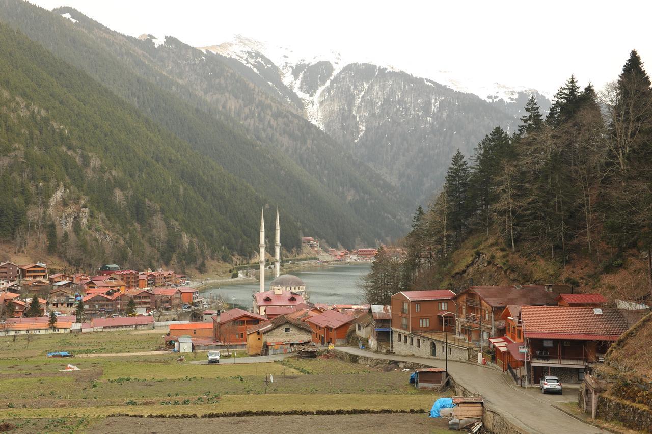 Tellioglu & Mericoglu Suite Uzungöl Eksteriør billede